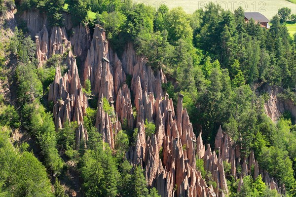 earth pillars near Klobenstein, Ritten, Italy, Suedtirol, Klobenstein