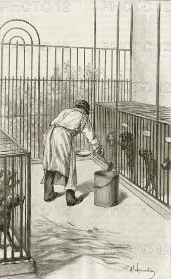 Laboratory animals at the Institut Pasteur, Paris, used during research ion hydrophobia (Rabies):  Drilling into  the brain rabbit.  Engraving, Pa;ris, 1873.