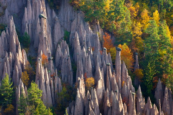 Ritten geomorphology Italy Europe Trentino South Tirol earth pillar geology erosion forms nature cliff wood forest autumn