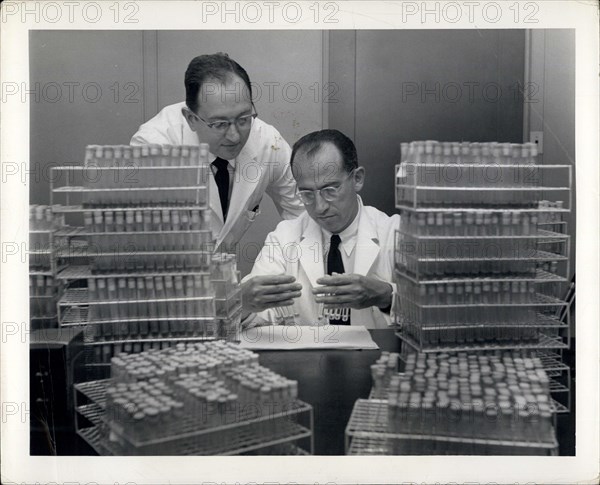 Apr. 04, 2012 - The National Foundation for Infantile Paralysis -120 Broadway New York 5, N.Y. October 7, 1954. Virus Research Laboratory, Municipal Hospital Pittsburgh, Pa.. Dr. Jonas E. Salk, discoverer of the new polio vaccine is shown in lab with his assistant Dr. J.S. Youngner.