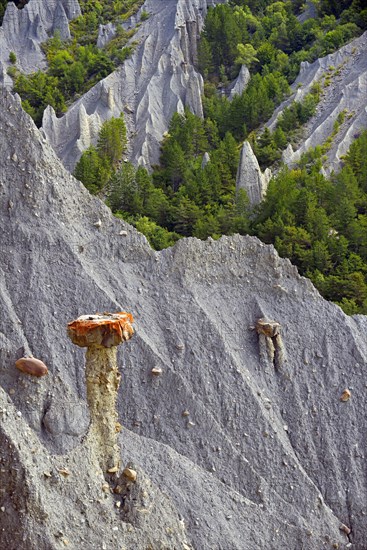 capped young ladies of Theus, rock formation, France, Hautes Alpes, Theus