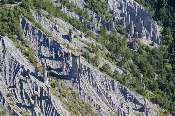 HOODOOS IN A FOREST (aerial view). Théus, Hautes-Alpes, France.