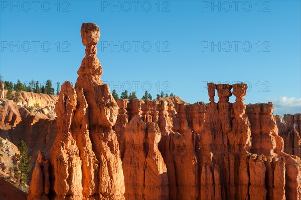 Thor's Hammer, Bryce Canyon, Utah, USA