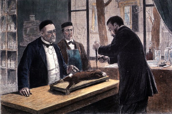 Louis Pasteur, French Chemist and Bacteriologist