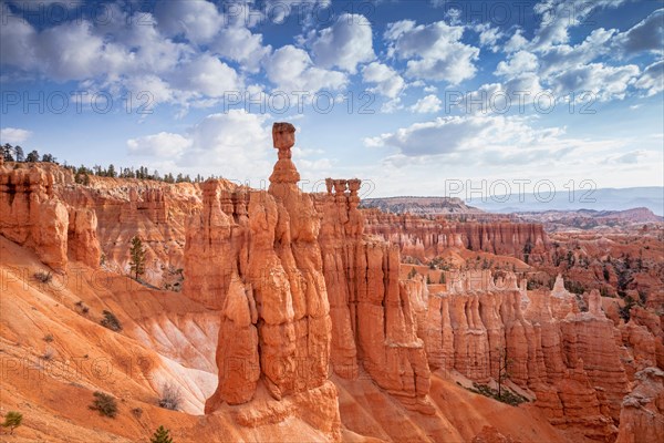 Thor's Hammer, the most famous of the thouisands of hoodoos in Bryce Canyon National Park, Utah.