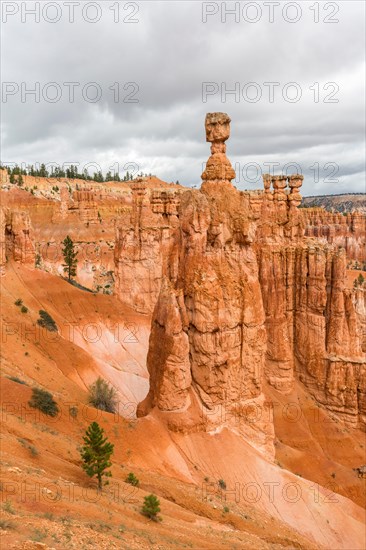 Hoodoos and Thor's Hammer from Navajo Trail Loop, Bryce Canyon National Park, Garfield County, Utah, USA,