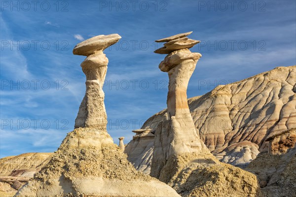 The so-called conversing hoodoos look like stone muppets in the BIsit/De-Na-Zin WIlderness in New Mexico.