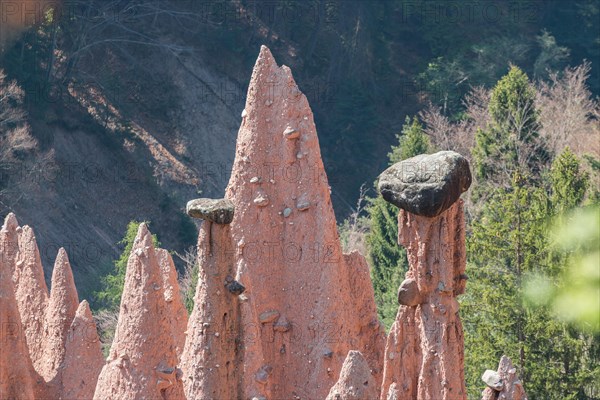 The earth pyramids of the Renon Plateau, Bolzano, Trentino Alto Adige, Italy