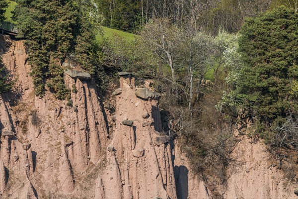 The earth pyramids of the Renon Plateau, Bolzano, Trentino Alto Adige, Italy