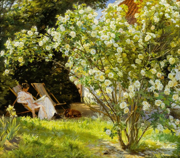 Peder Severin Krøyer, Roses, Marie Krøyer seated in the deckchair in the garden by Mrs Bendsen's house, painting, 1893