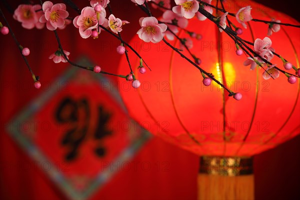 Chinese new year decoration--Traditional lantern and plum blossom on a festive background.
