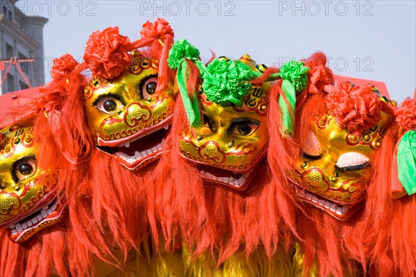traditional chinese lion dancing for celebration chinese new year