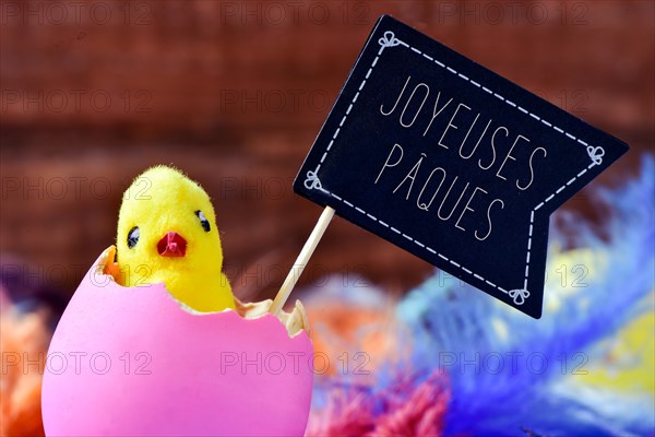 closeup of a toy chick emerging from a hatched pink egg surrounded by feathers and a black flag-shaped signboard with the text j