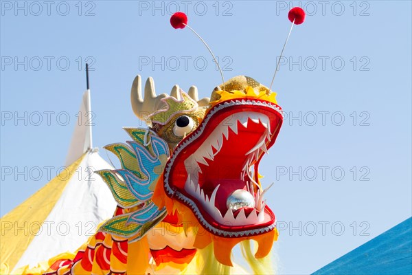Chinese dragon for Chinese new year