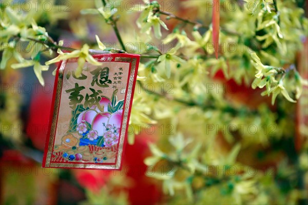 Red envelopes ( hongbao ) for Chinese New Year. Red color is a symbol of good luck. France.