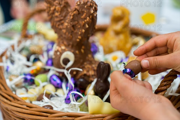 hands of a child unwrap a chocolate candy egg with a large Easter egg basket in the background
