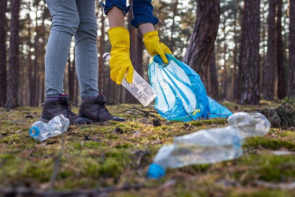 Make the Earth clean! Volunteer is cleaning forest from plastic pollution. Environmental issues. Woman with protective glove picking plastic garbage i