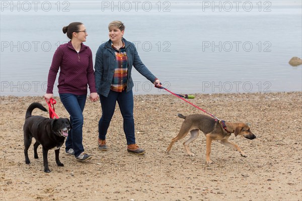 Same sex female couple holding hands walking dogs on Cape Cod beach