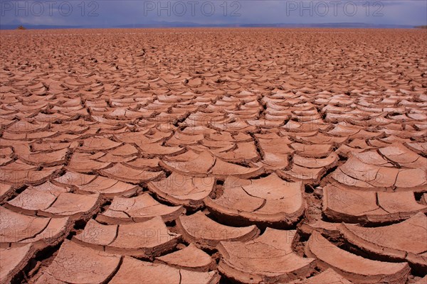 A huge expanse of cracked, dry, mud and soil on Bolivia's Altiplano.