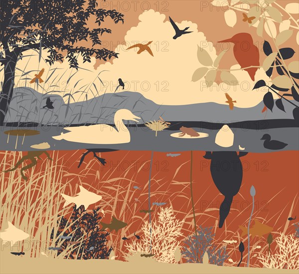 EPS8 editable vector illustration of diverse wildlife in a freshwater ecosystem with all figures as separate objects