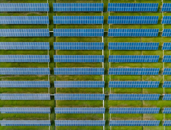 Aerial view of Solar Panels Farm with sunlight. Drone flight over solar panels field, renewable green alternative energy concept.