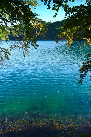 view of Pavin lake in Auvergne, volcanic lake, Puy-de-Dome; France