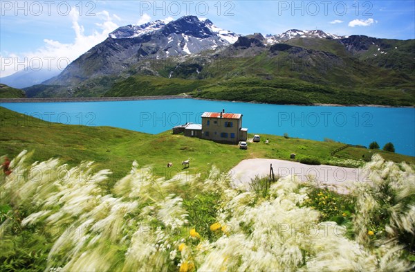 Bright blue lake and flowers in wind on Lac du Mont Cenis France