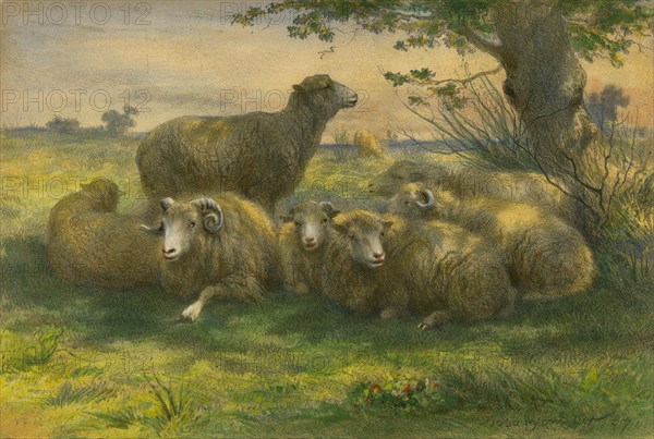 Original hand colored print by Rosa Bonheur, dated 1857.