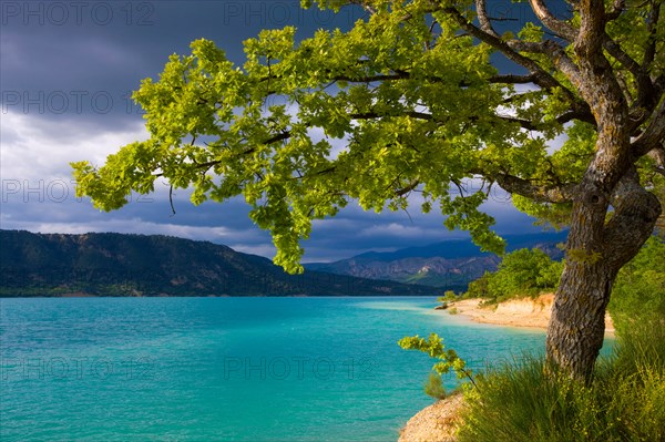 Lac de Sainte Croix, France, Europe, Provence, Alpes-de-Haute-Provence, lake, sea, reservoir, shore, trees, oak, clouds, thunder