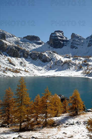 Lake Allos or Lac d'Allos, European Larches, Larix decidua, Snow-Covered Mountains and Winter Landscape, Mercantour National Park, French Alps