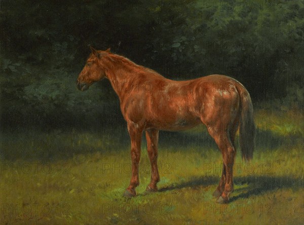 Rosa Bonheur - L'oseille rouge