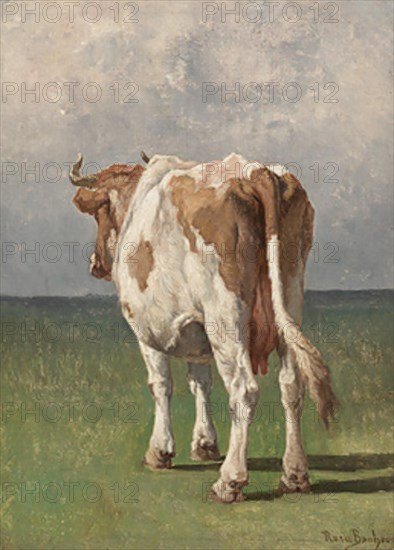 Study of a cow by Rosa Bonheur