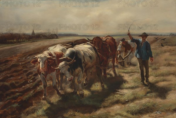 Rosa Bonheur - charrue à bC593ufs (1875)