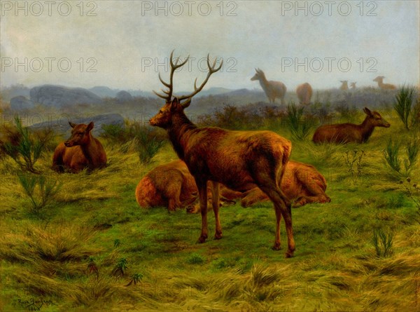 The Monarch of the herd, Rosa Bonheur, 1868