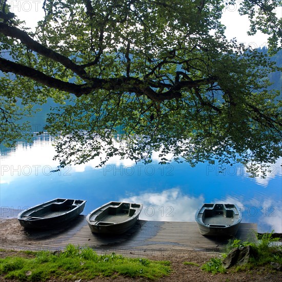 Lake Pavin, Puy de Dome department, Auvergne-Rhone-Alpes, France