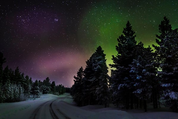 Aurora Borealis or Northern Lights, Lapland, Sweden