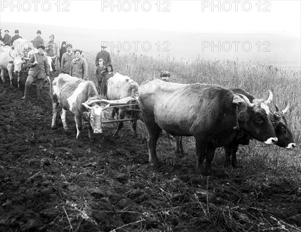 The Holodomor was a man-made famine in the Ukrainian Soviet Socialist Republic in 1932 and 1933 that killed an estimated 2.5-7.5 million Ukrainians, with millions more counted in demographic estimates. It was part of the wider disaster, the Soviet famine of 1932–33, which affected the major grain-producing areas of the country.

During the Holodomor millions of citizens of the Ukrainian SSR, the majority of whom were ethnic Ukrainians, died of starvation in a peacetime catastrophe unprecedented in the history of Ukraine.Since 2006, the Holodomor has been recognized by the independent Ukraine a