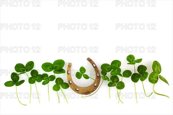 Clover isolated on white background, great design for any purposes. Saint patrick day.