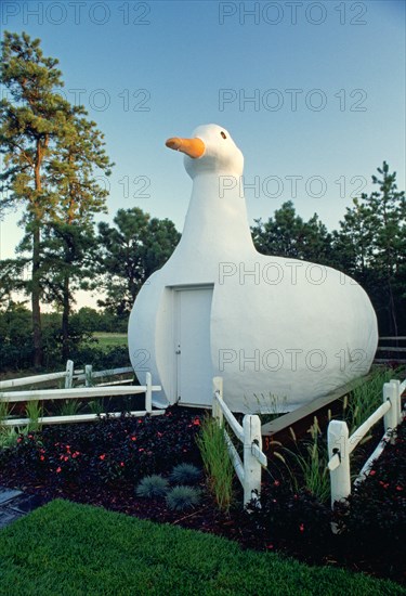 The Big Duck