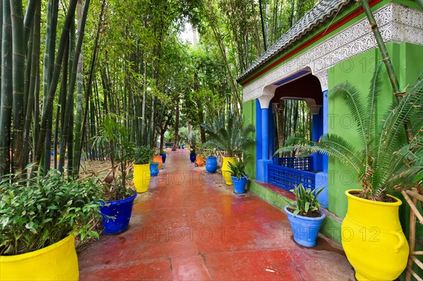 The Jardin Majorelle ( Majorelle Garden ), Marrakech, Morocco, North Africa