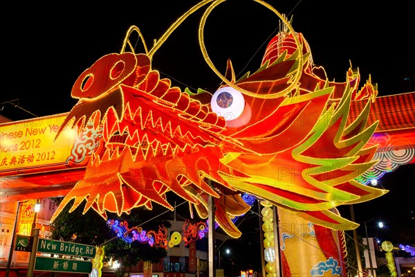 South East Asia, Singapore, New Bridge Road, Chinatown, Chinese New Year Celebrations