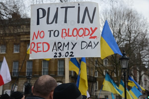 London England, 23th Feb 2014: Ukrainians in London gathered to remember those who died in recent protests in Kiev and to protest against the Russian government's involvement in the recent clashes between protesters and the Ukrainian government. See Li Photo Capital/Alamy Live News