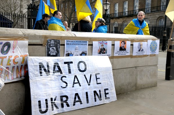 Pro-Ukrainian demonstrators in Whitehall opposite Downing Street, protesting against Russia's involvement in Crimea. 4th March 2014