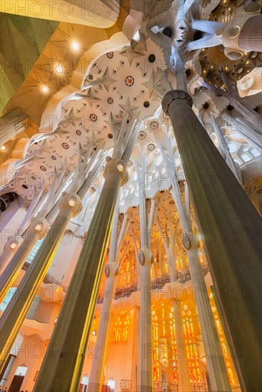 The interior of Sagrada Familia, the cathedral designed by Gaudi in Barcelona, Catalonia