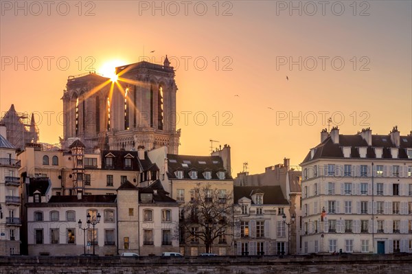 Paris, France - March 1, 2021: Beautiful Notre Dame cathedral tower with Haussmannian buildings in foreground in Paris at sunset