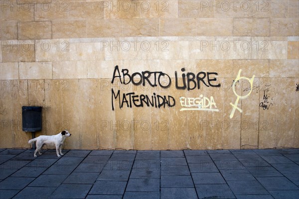 Graffiti, Free Abortion, Maternity Choice, Granada, Andalucia, Spain