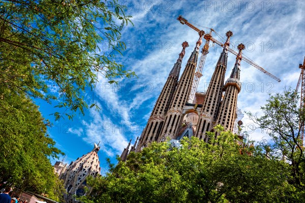 BARCELONA, SPAIN - MAY 13, 2017: The Sagrada Familia surrounded by trees and a beautiful blue sky, viewed from the Gaudi Square.