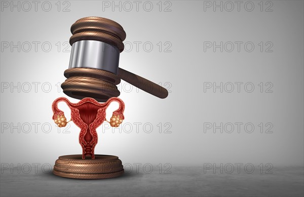 Reproductive rights and abortion law or women health justice as a legal concept for reproduction politics as legislation by government.