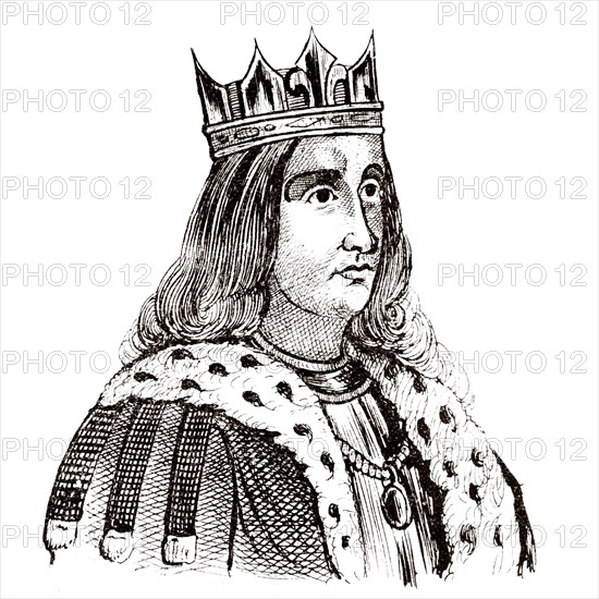 Portrait of Charles VI the Beloved, the Mad (1368 - 1422). King of France from 1380 to 1422. House of Valois. History of France, from the book Atlas de la France 1842