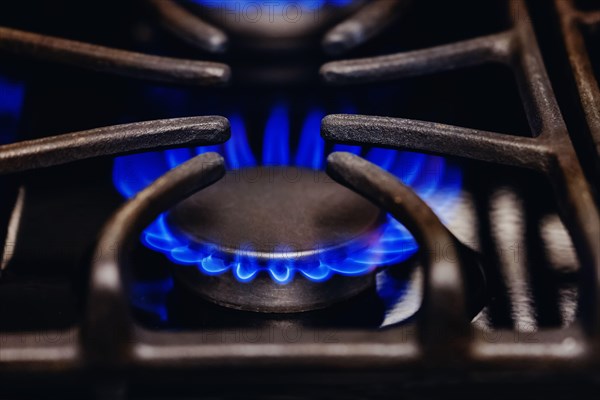 Close-up shot of gas flames burning from a kitchen stove. Natural gas, energetic crisis